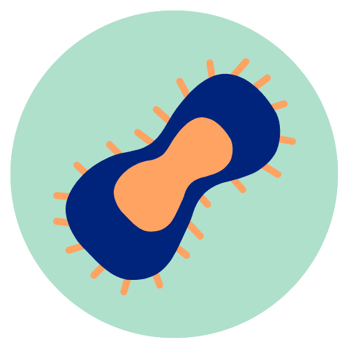 Microbiome-studies
